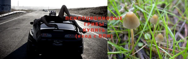 крисы Белоозёрский