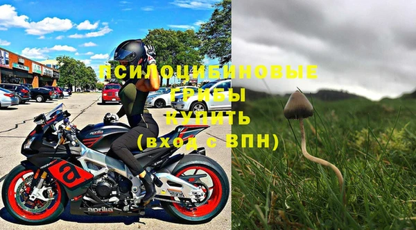 твердый Белокуриха